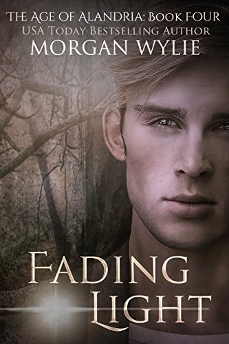Fading Light book cover