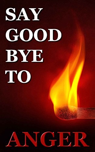 Say Goodbye to Anger: How not to want to punch them in the face by ...