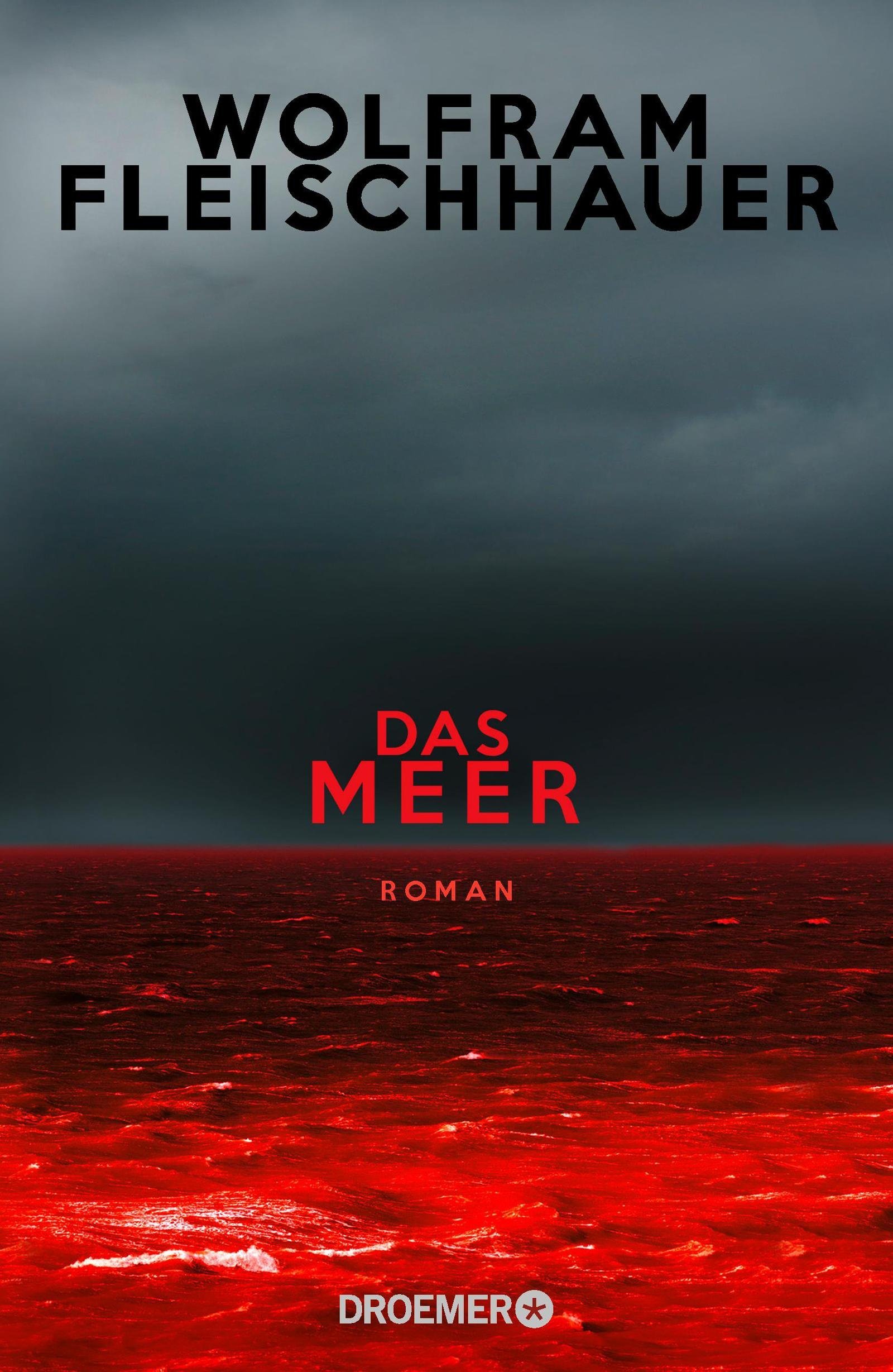 Das Meer book cover