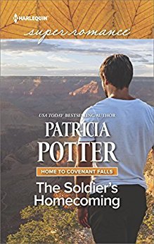 The Soldier's Homecoming book cover