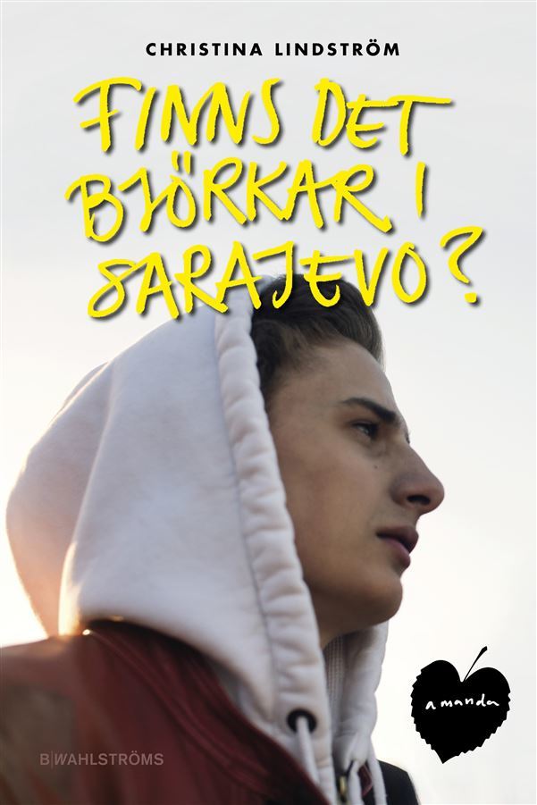 Finns det björkar i Sarajevo? book cover