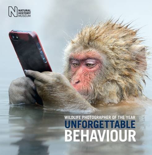 Unforgettable Behavior book cover