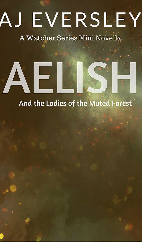Aelish & The Ladies of the Muted Forest book cover