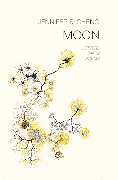 Moon book cover