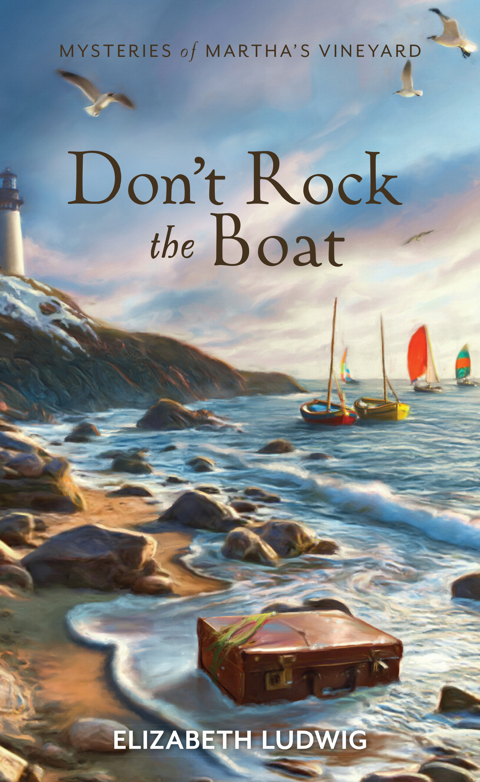 Don't Rock the Boat book cover