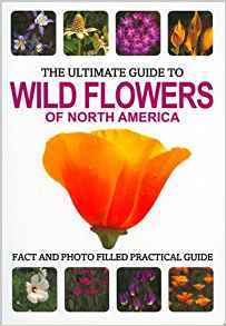 The Ultimate Guide to Wildflowers of North America by Parragon Books ...