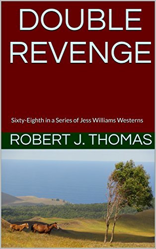 Double Revenge book cover