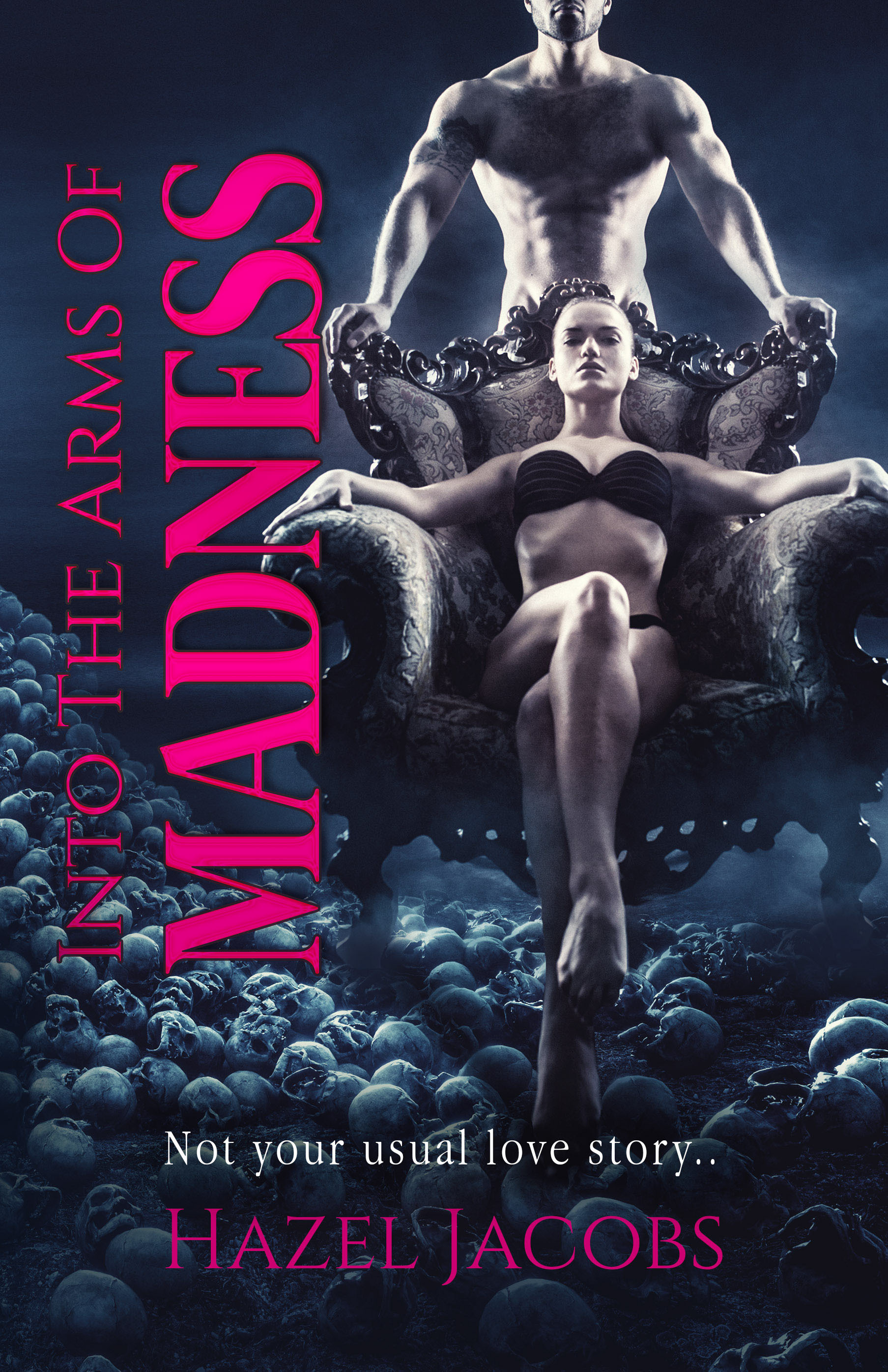 Into The Arms Of Madness book cover