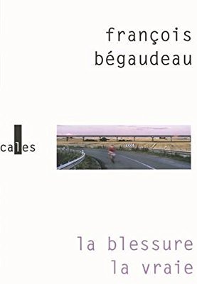 La Blessure, la vraie book cover