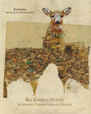 Big Energy Poets book cover