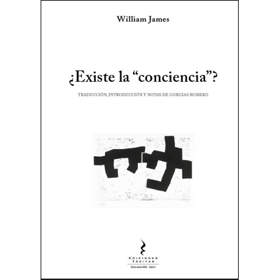 Does 'Consciousness' Exist? book cover