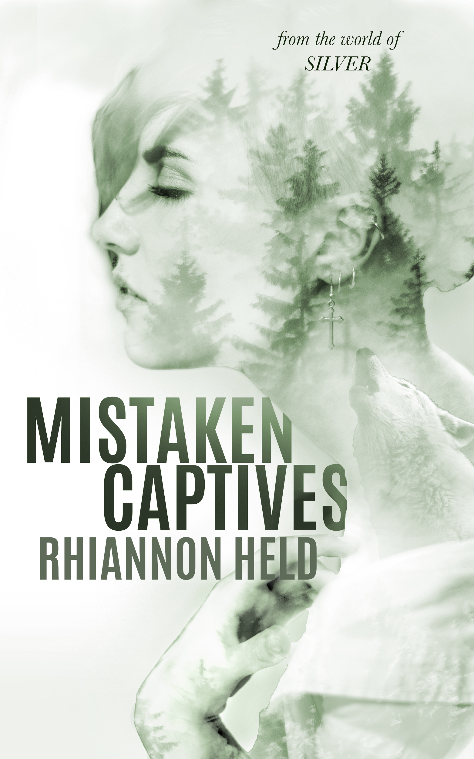Mistaken Captives book cover