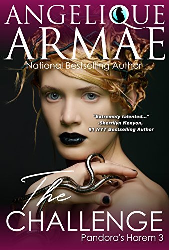 The Challenge book cover