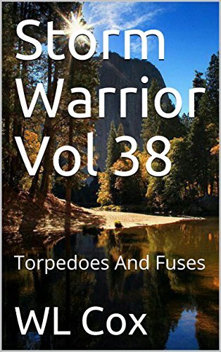 Storm Warrior Vol 38 book cover