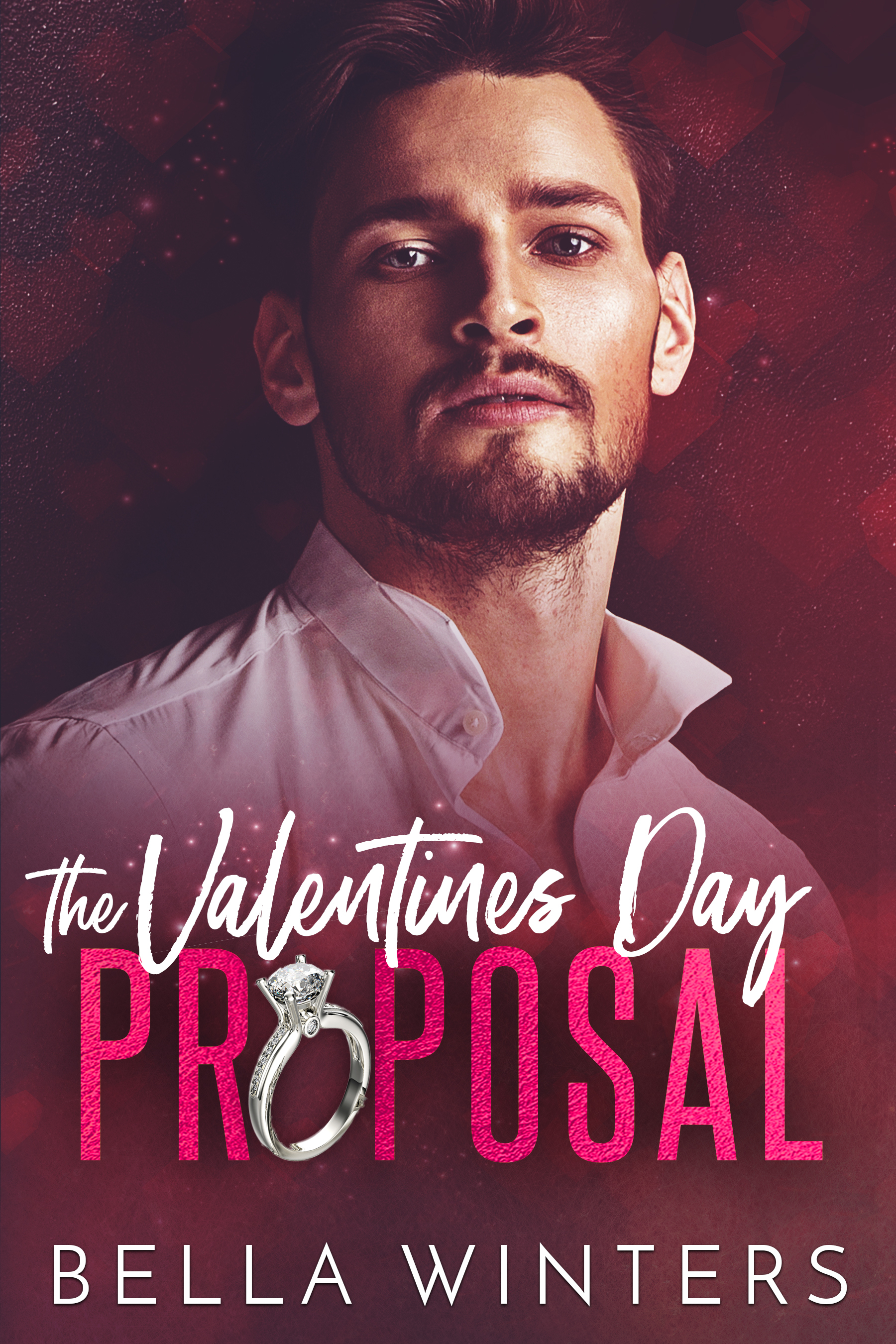 The Valentines Day Proposal book cover