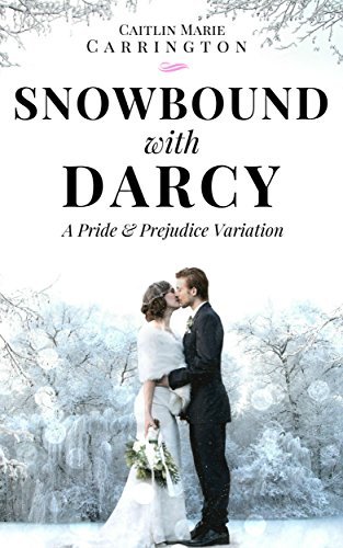 Pride and Prejudice Variation book cover 2