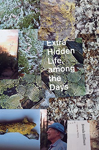 Extra Hidden Life, among the Days book cover