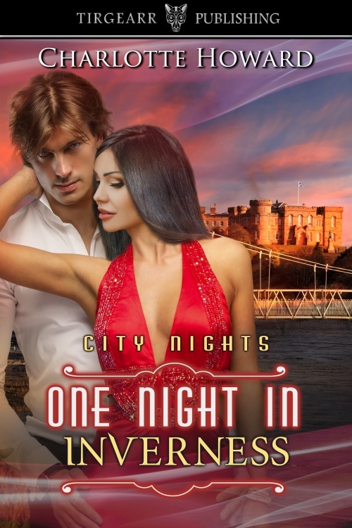 One Night in Inverness book cover