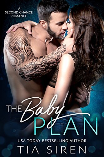 The Baby Plan book cover