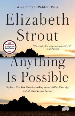 Anything Is Possible (Amgash #2)
