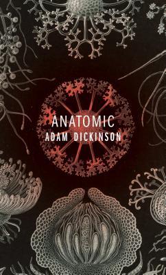 Anatomic