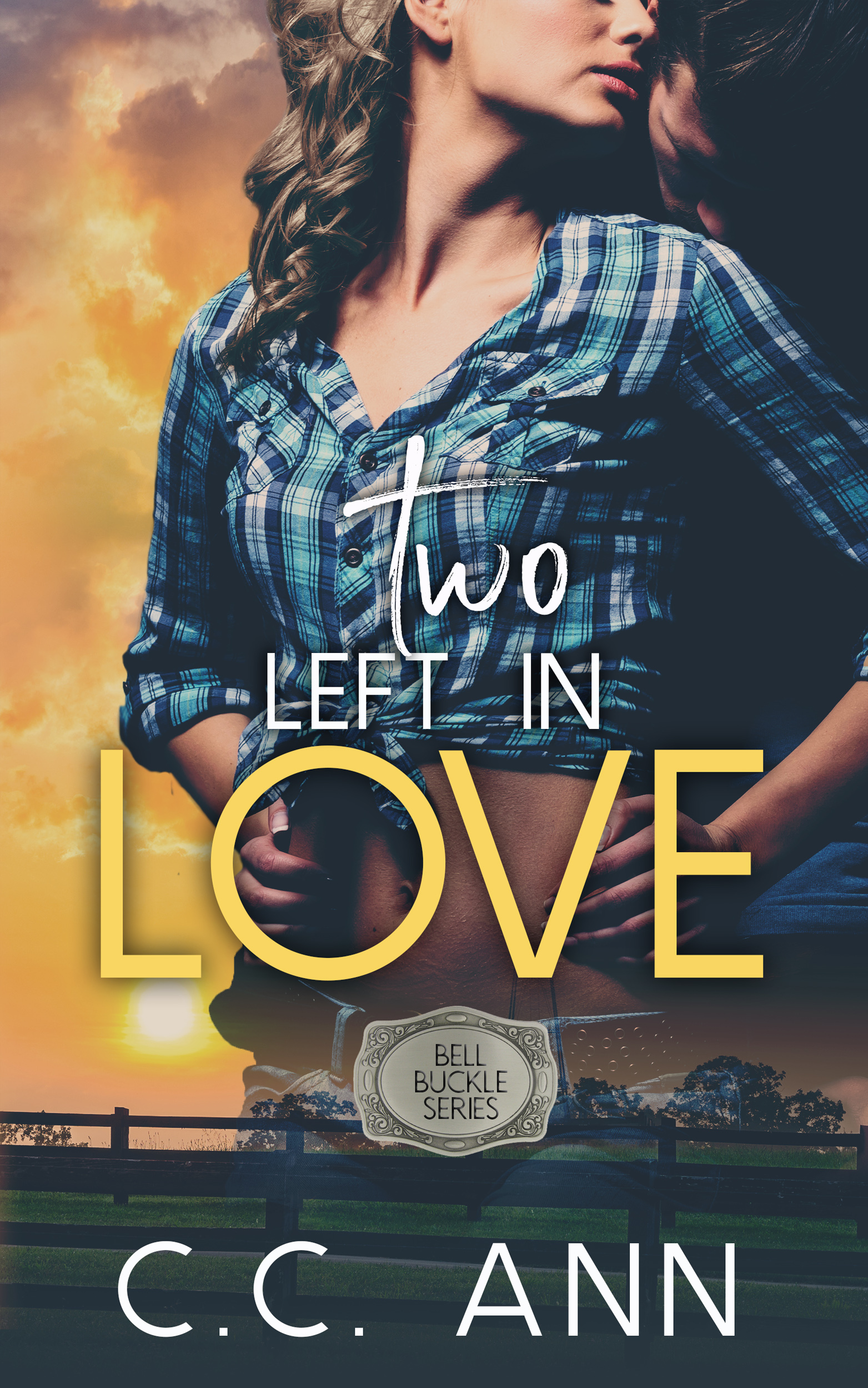 Two Left In Love book cover
