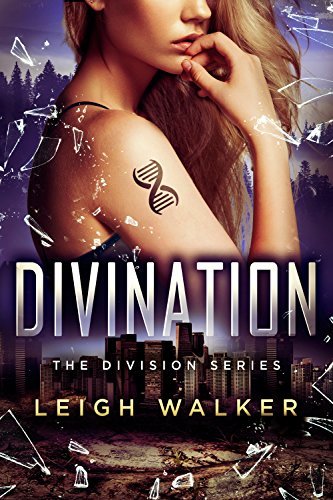 Divination book cover