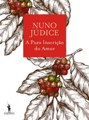 A Pura Inscrição do Amor book cover