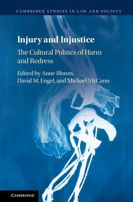 Injury and Injustice book cover