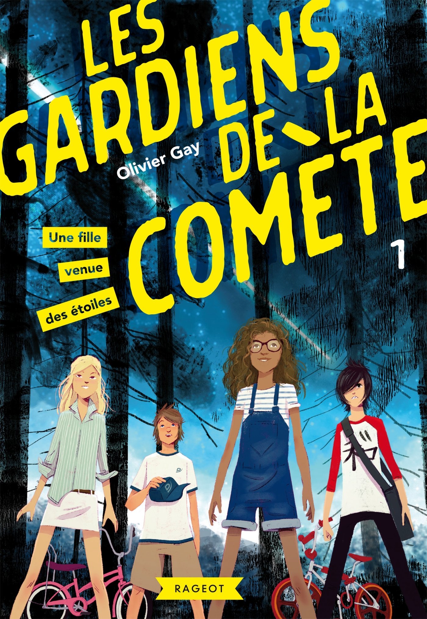 Les gardiens de la comète book cover 1