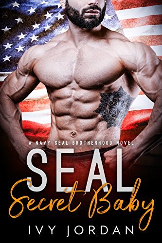 SEAL's Secret Baby book cover