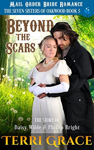 Beyond the Scars book cover