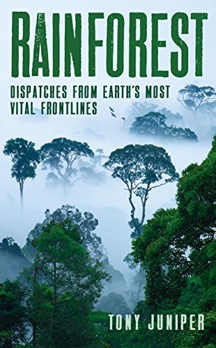 Rainforest book cover