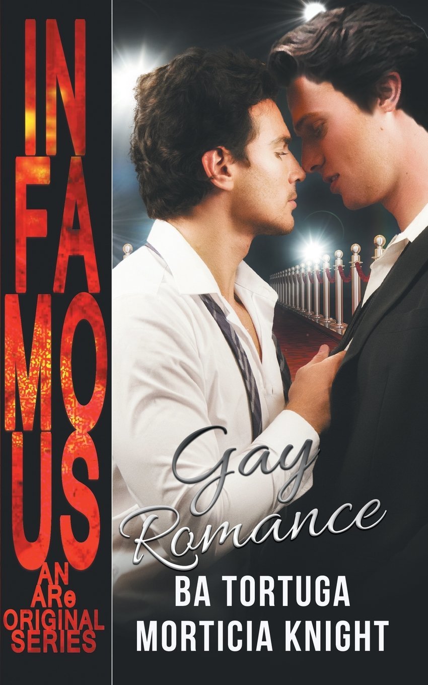 Gay Romance book cover