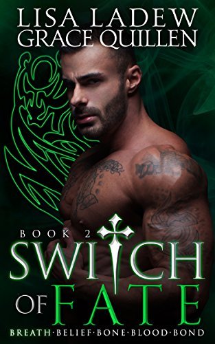 Switch of Fate 2 book cover
