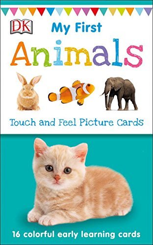 My First Touch and Feel Picture Cards book cover