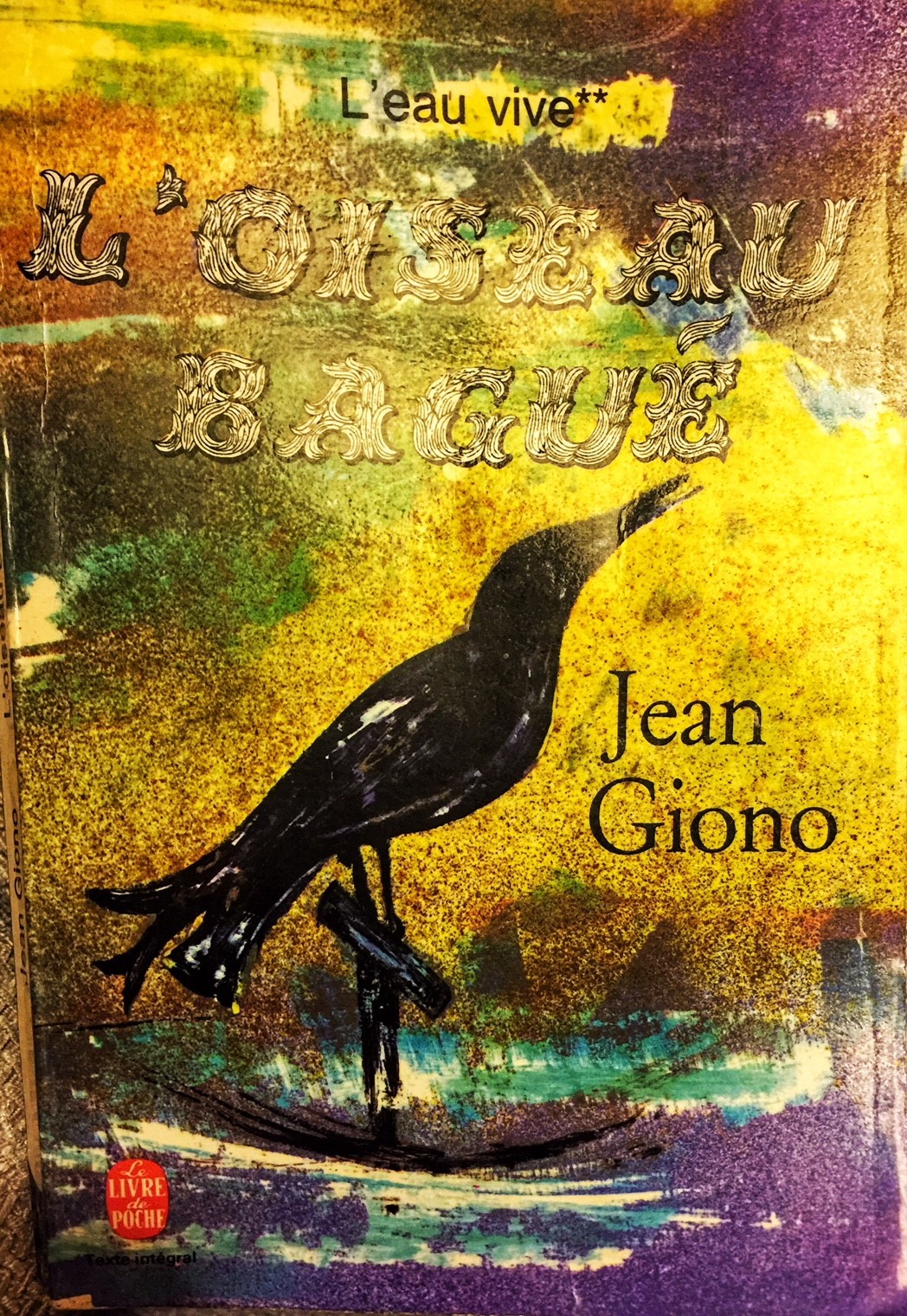 L'oiseau bagué book cover