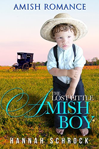 The Lost Little Amish Boy book cover