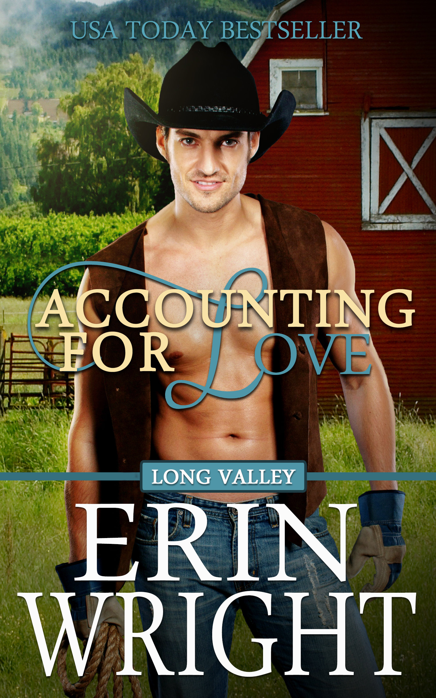 Accounting for Love (Long Valley, #1)