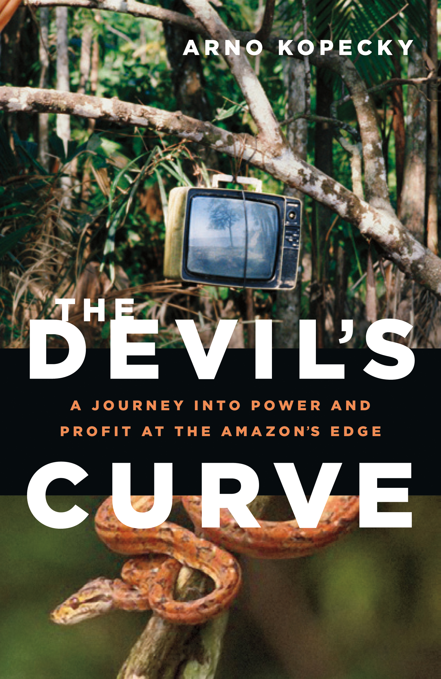 The Devil s Curve A Journey Into Power And Profit At The Amazon s Edge 