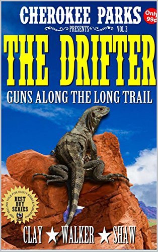 The Drifter book cover