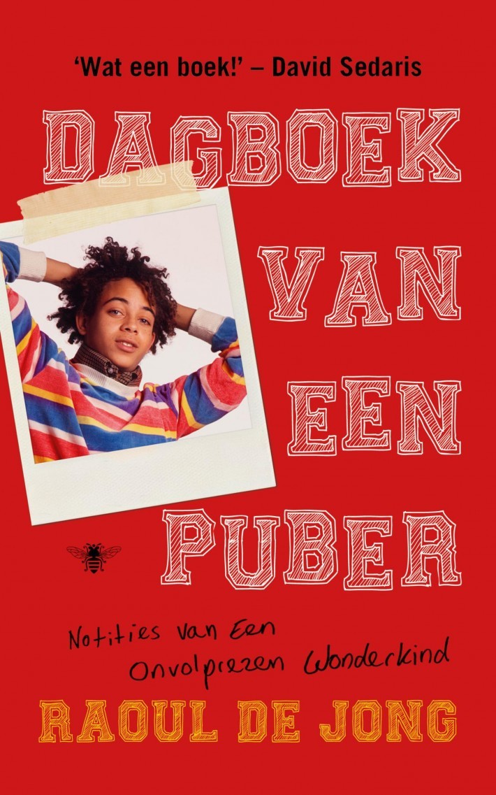 Dagboek van een puber book cover