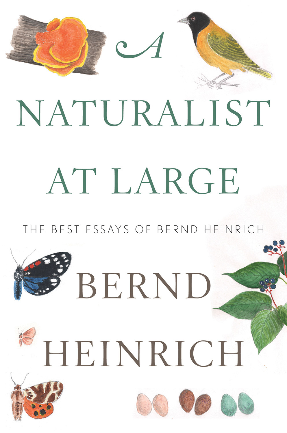 A Naturalist at Large book cover