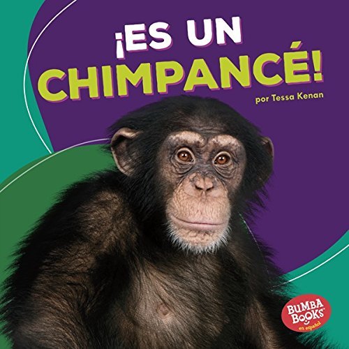 ¡Es un Chimpancé!