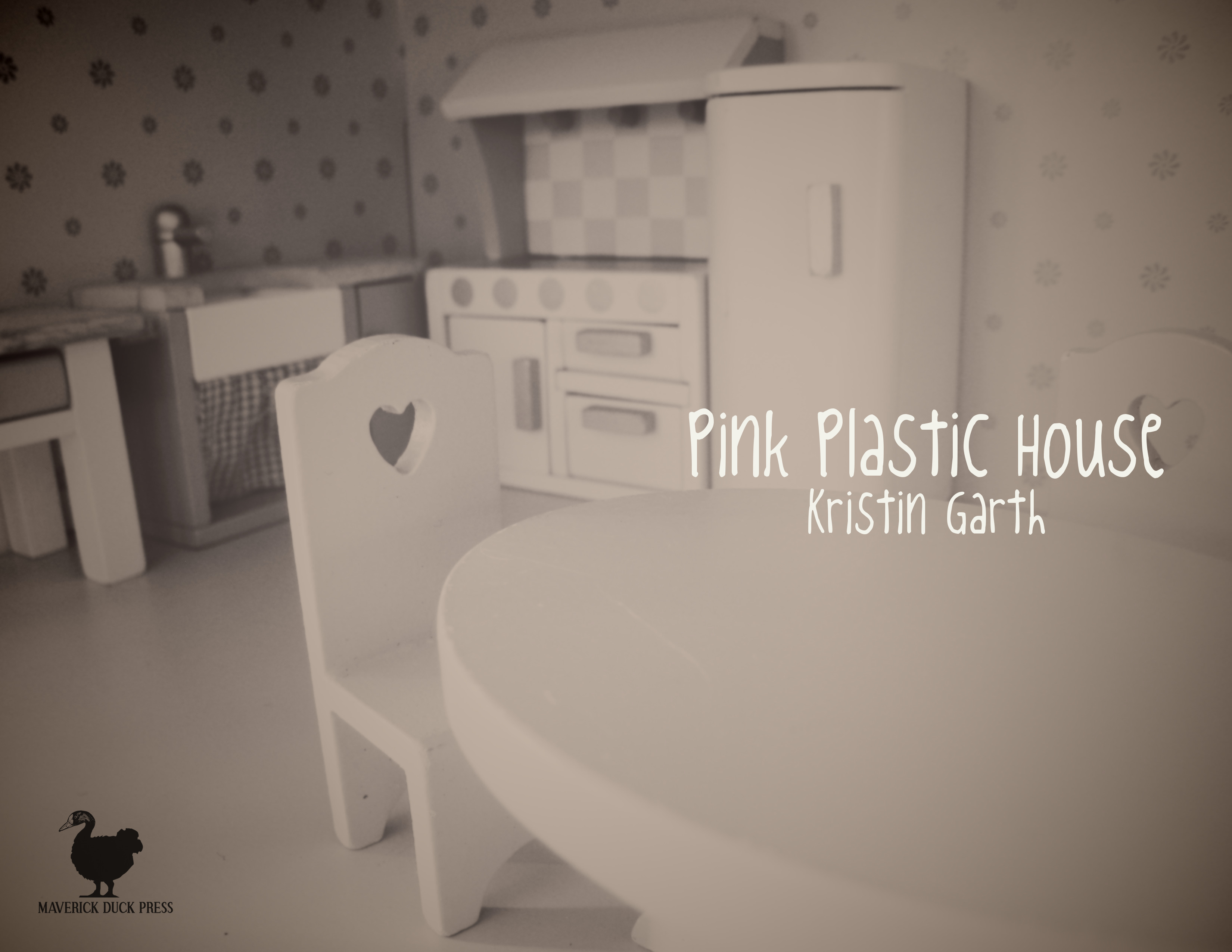 Pink Plastic House book cover