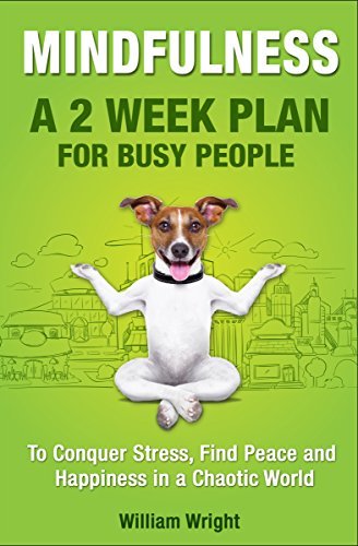 MINDFULNESS: A 2 Week Plan for Busy People to Conquer Stress, Find ...