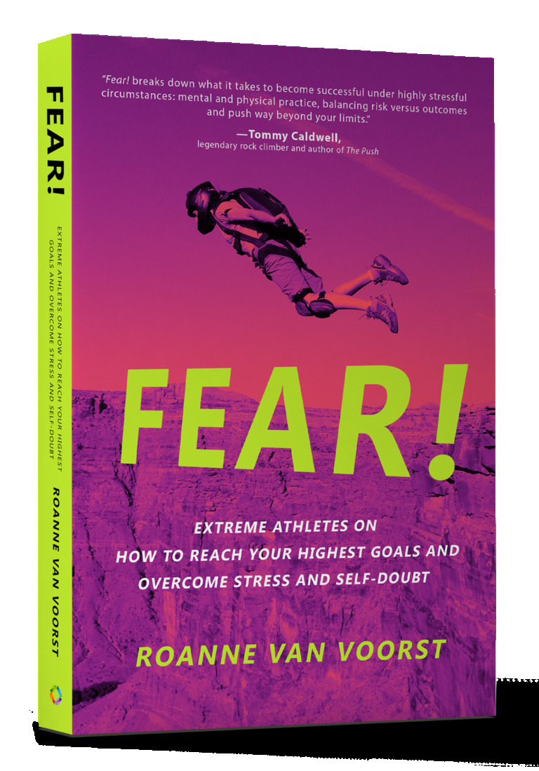 Fear! book cover
