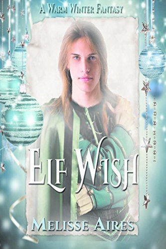 A Warm Winter Fantasy book cover 1