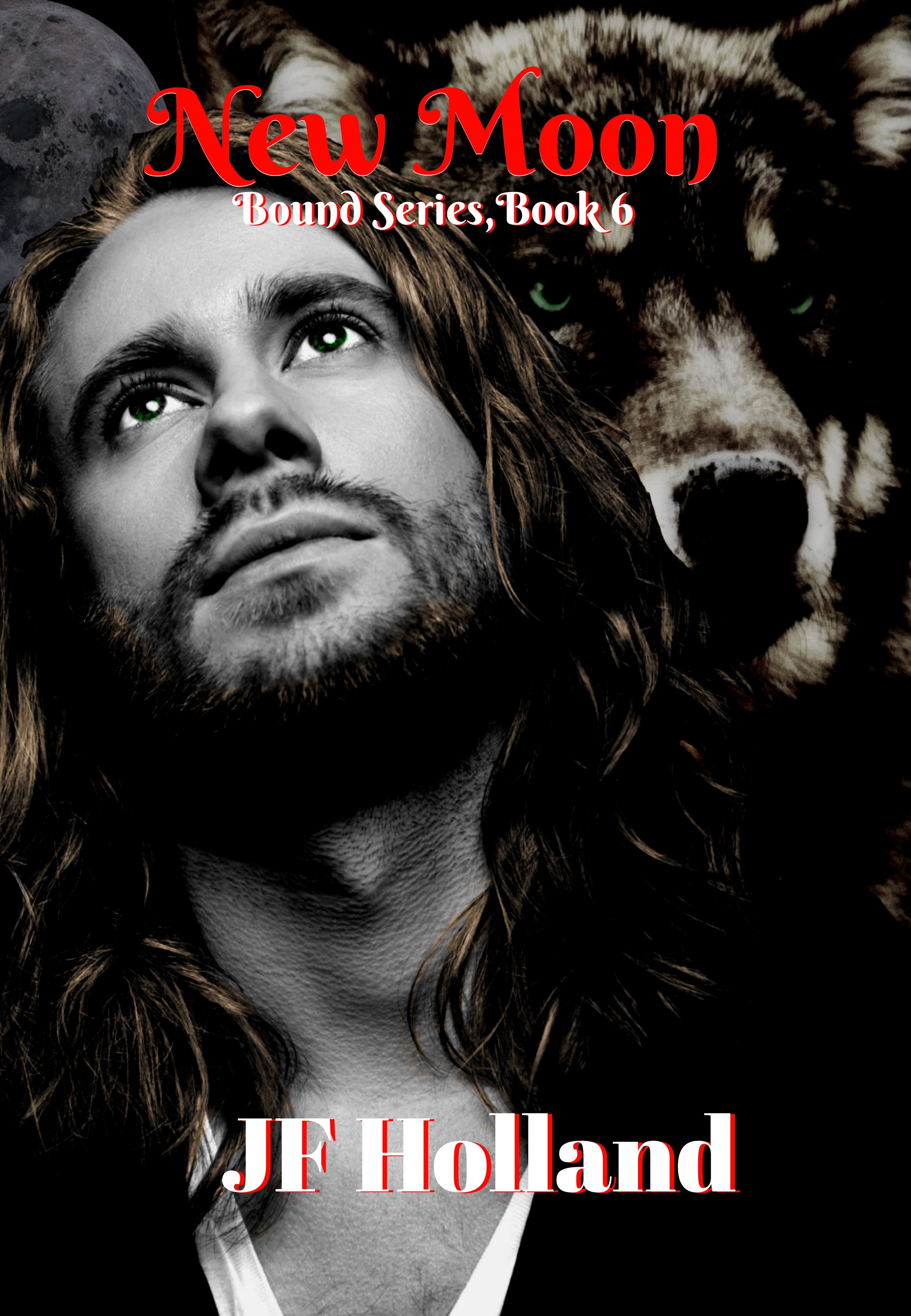 New Moon book cover