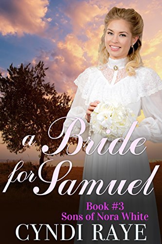 Sons of Nora White book cover 3